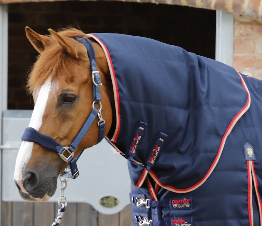 Premier Equine Buster Stable 100g Stable Rug with Neck Cover 5'6-6'9