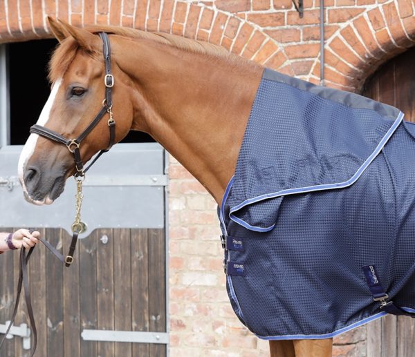 Premier Equine Combo Buster Waffle Cooler 