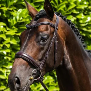 Premier Equine Verdura Anatomic Snaffle Bridle - Black or Brown