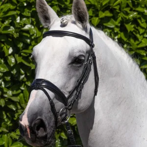 Premier Equine Artana Snaffle Bridle - Black or Brown